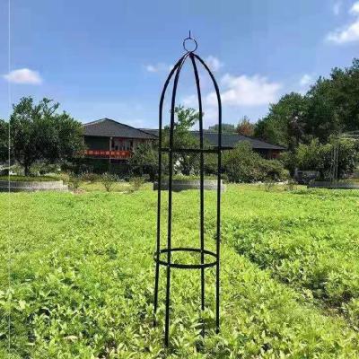 China Easily Assembled Outdoor European Climbing Plant Frame Flower Stand Flower Rack Plant for sale