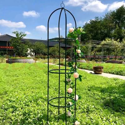 China Easily Assembled Style Flower Stand Climbing Frame Gardening Stand for sale