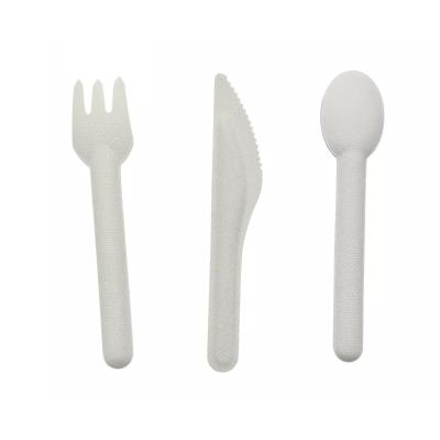 China Disposable Paper Cutlery Set 100% Bagasse Knife Fork Spoon Sugar Cane Biodegradable Cutlery 16cm for sale