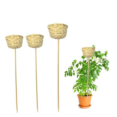 China Sustainable Garden Decorative Flower Sticks Natural Bamboo Stick For Plant Support for sale