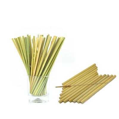 China Disposable Natural Bamboo Drinking Straws 22cm Cleaning Brush 3 Set With Bamboo Bamboo Straws for sale