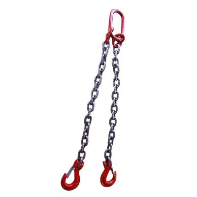 China Heavy Industry HLM Super Supplier Customized 2 Leg Chains Adjustable Lifting Chain Sling for sale