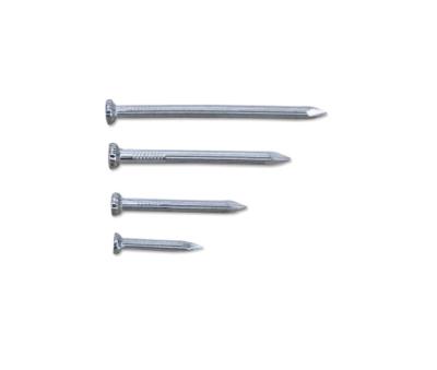 China Flat Galvanized Steel Concrete Nails Structural Steel Nails for sale