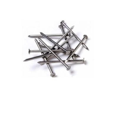 China Flat Steel Nails Roofing Accessories Roofing Nails Construction Polish or Galvanized Steel Wood Joint Nail For Wood for sale