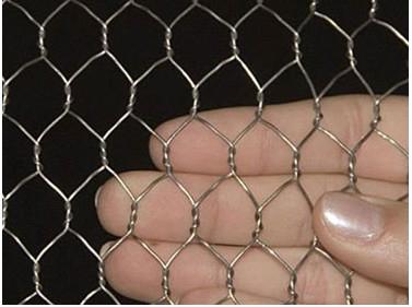 China PVC hexagonal galvanizado sumergido caliente de la malla de alambre del pollo del hierro cubierto en venta