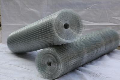 China Hot dipped galvanized welded mesh/ black wire mesh panel/ PVC coated mesh for sale