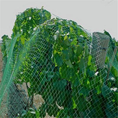 China 30g/m2 Construction Site 30g/m2 Two Needles Anti Bird Agricultural Plastic Mesh China Mesh Width 10m Reasonable / Lowest Price for sale