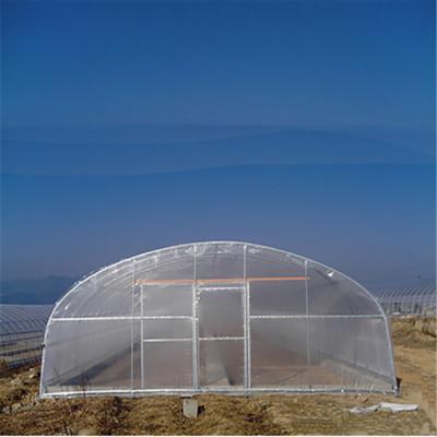 China New Plant Protection 100% HDPE Use Greenhouse Agricultural Fly Insect Net for sale