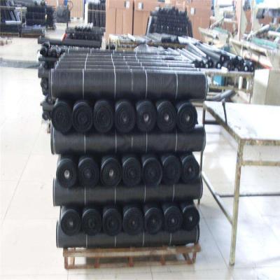 China House Roof Agrotextile PP Woven Geotextile Mat Plant Cover / agrotkanina against weeds / anti-weed mat in for sale