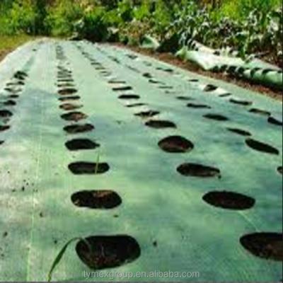 China Agricultural plastic crop garlic and onion pp weed control mat/anti weed black grass cloth with holes for sale