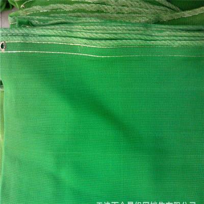 China Construction site mesh size 0.5*0.5 cm popular green construction safety net for sale