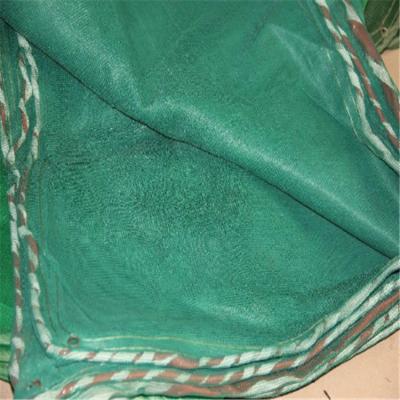 China HDPE +UV stabilized hot sale high quality green thick plastic mesh for gardening agricultural construction for sale