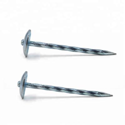 China BWG9 x 2.5inch Cap China Factory Sale Twisted Leg Galvanized Umbrella Head Roofing Nails Umbrella Nail for sale