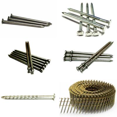 China Best Quality Flat Nails Professional China Manufacture Factory Price for sale