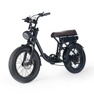 China Electric city bike 20