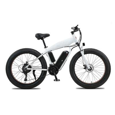 China Electric city bike 26