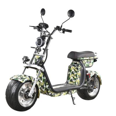 China YH 500-1000W Electric Motor Bike With 18x9.5 Inch Wide Tire YH-EH010 for sale