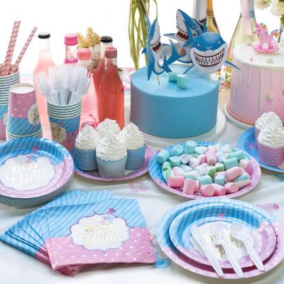 China Fun Kind Reveal Party Supplies Baby Shower Decoration Paper Plate Cups Napkins Tablecloth Cutlery for sale