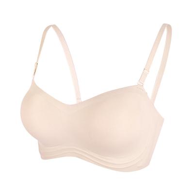 China QUICK DRY Sexy Ladies Bra Wireless Spandex Seamless OEM Cup for sale