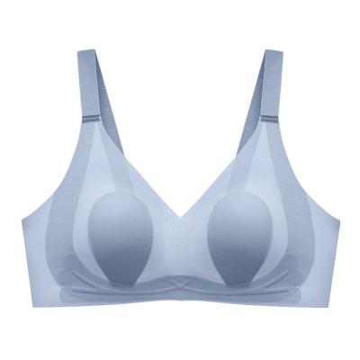 China QUICK DRY Sexy Ladies Wire Free Custom Seamless OEM Cup for sale