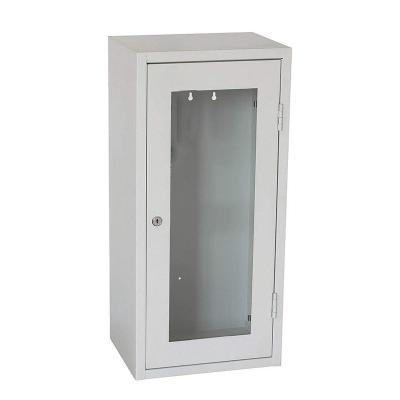 China Custom High Quality Aluminum Factory Guard Wall Mount Metal Fire Extinguisher Cabinet for sale