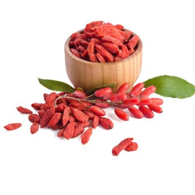 China OEM Supplier Competitive Price Healthy Food Dried Native Dried Fruits Goji Berries Bayas De Goji for sale