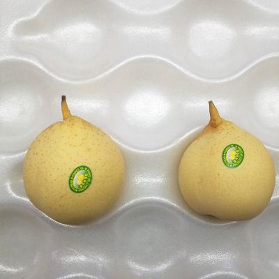 China Fresh High Quality With Best Price Chinese Ya Pear Fresh Fruit for sale