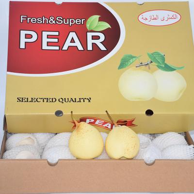 China Supplier New Chinese Fresh Fresh Fruit Export Ya Pear Wholesale Fresh Price for sale