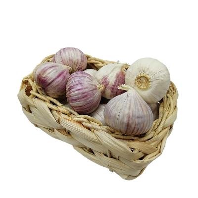 China Fresh Natural Net Pocket China Solo Garlic for sale