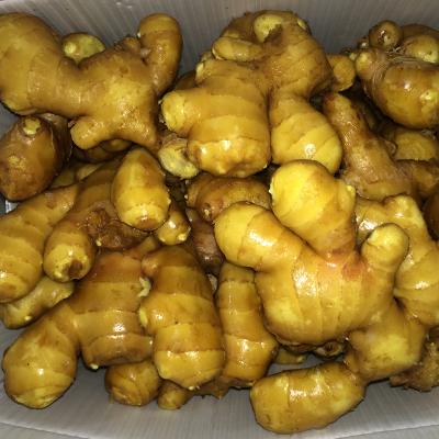 China Fresh New Culture Ginger Supplier 100g/150g/200g/250g/300g Fresh Ginger for sale