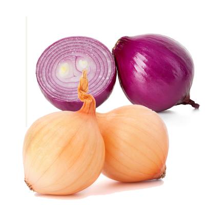 China Chinese fresh new crop yellow onion and red onion lowest market price for sale