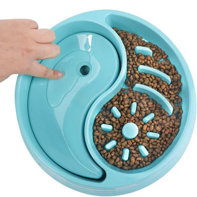 China 2021 Sustainable New Eco Friendly Pet Bowl Feeder PetSlow Travel Bowls Cat Dog Bowl for sale