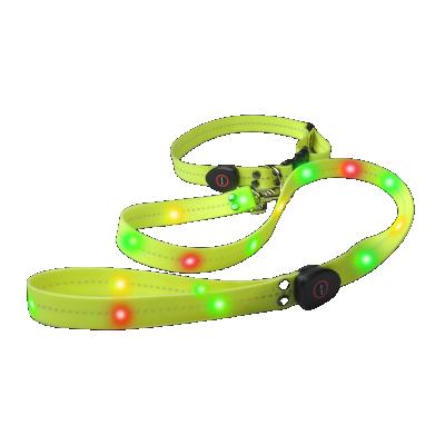 China Customized Wholesale Reflective USB Rechargeable Light Up Led Pet Collars And Dogs Leashes Nylon Dog Leash for sale