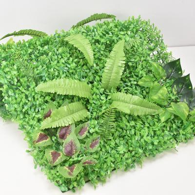 China Indoor Outdoor Plastic Wall Mounted Office Plastic Artificial Mall Shop Decoration Green Grass Plants Plants Home Decor Wall for sale