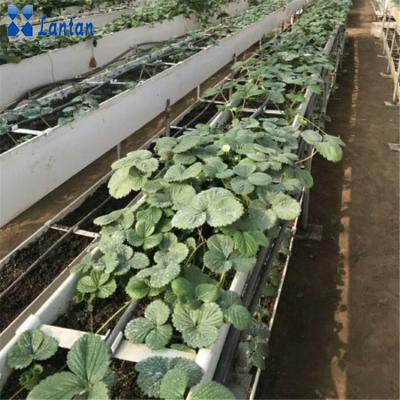 China Anti - Corrosion Greenhouse Systems Hydroponic Plant Growing Plastic Gutter For Tomato for sale