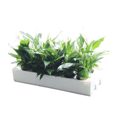 China Wholesale Corrosion Resistance Irrigation&Hydroponics Farm Model Eqiupment New Led To Grow NFT Lightweight Hydroponics Planting Box for sale