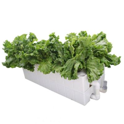 China Corrosion Resistance Balcony Indoor Home Planter Used NFT System Hydroponic Planting Box for sale