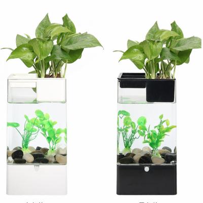 China Modern Mini Acrylic Transparent Fish Tank Aquarium Aquaponics System For Home Decoration for sale