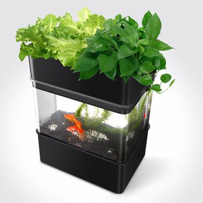 China Modern Mini Smart Garden Aquarium Aquaponics Kit For Indoor Use for sale