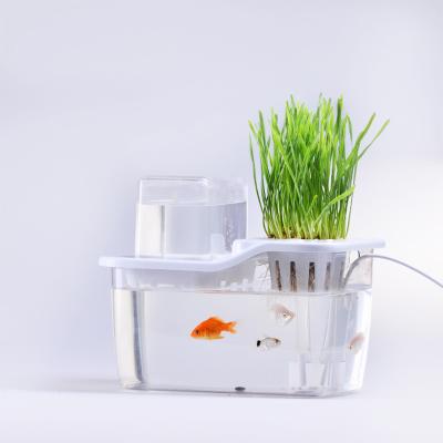 China Modern Indoor Mini Tank Garden With Aquaponic System For Gifts for sale