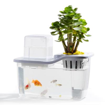 China New Modern Mini Aquaponics Garden System For Flowers And Vegetable for sale