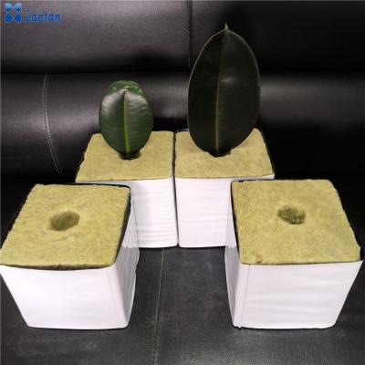 China Commercial Horticulture Agricultural Vertical System Hydroponic Rockwool Planting Block for sale