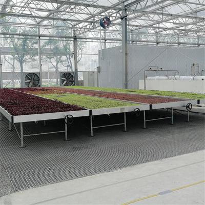 China Convenient Operation High Quality Greenhouse Hydroponic System 4*8 Flow and Flow Tray Flooding Tray Rolling Benches and Table for sale