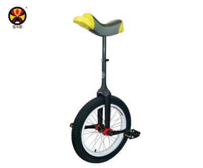 China ISIS Carbon Unicycle Bicycle One Wheel 20