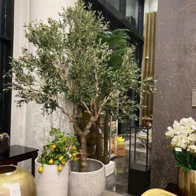 China Minimalist 8ft Artificial Pe Trunk Potted Olive Tree Plants for sale