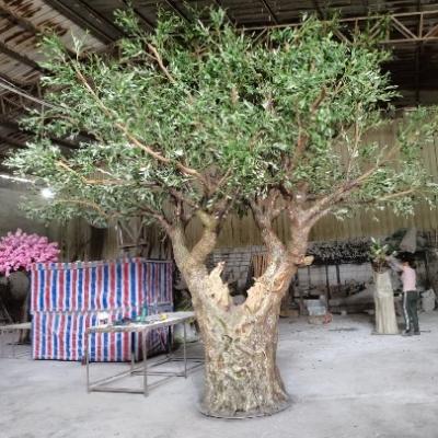 China Minimalist Artificial Olive Tree Art Fiberglass Trunk for sale