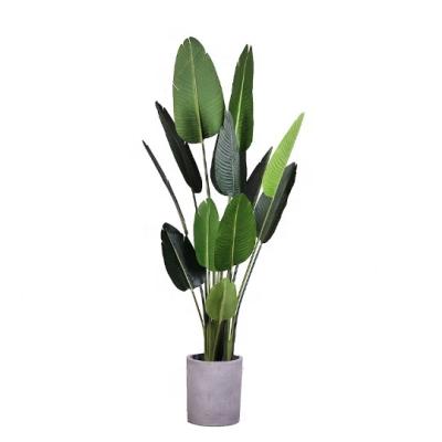 China CIA Minimalist Hot Selling Plants Artificial Fake Banana Trees Amazon 160cm for sale