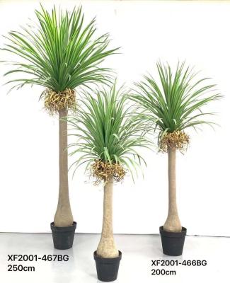 China Space Technology Customized Art Style Luxury Decor Yucca Tree Minimalist Plastic Artificial Ultraviolet Fiberglass Tree Anti for sale