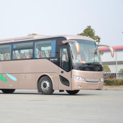 China Ankai 10m tourist bus for sale