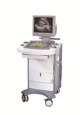 China 2018 newest China medical equipment  Shengpu wheeled Ultrasound scanner medical instrument  with CE for sale